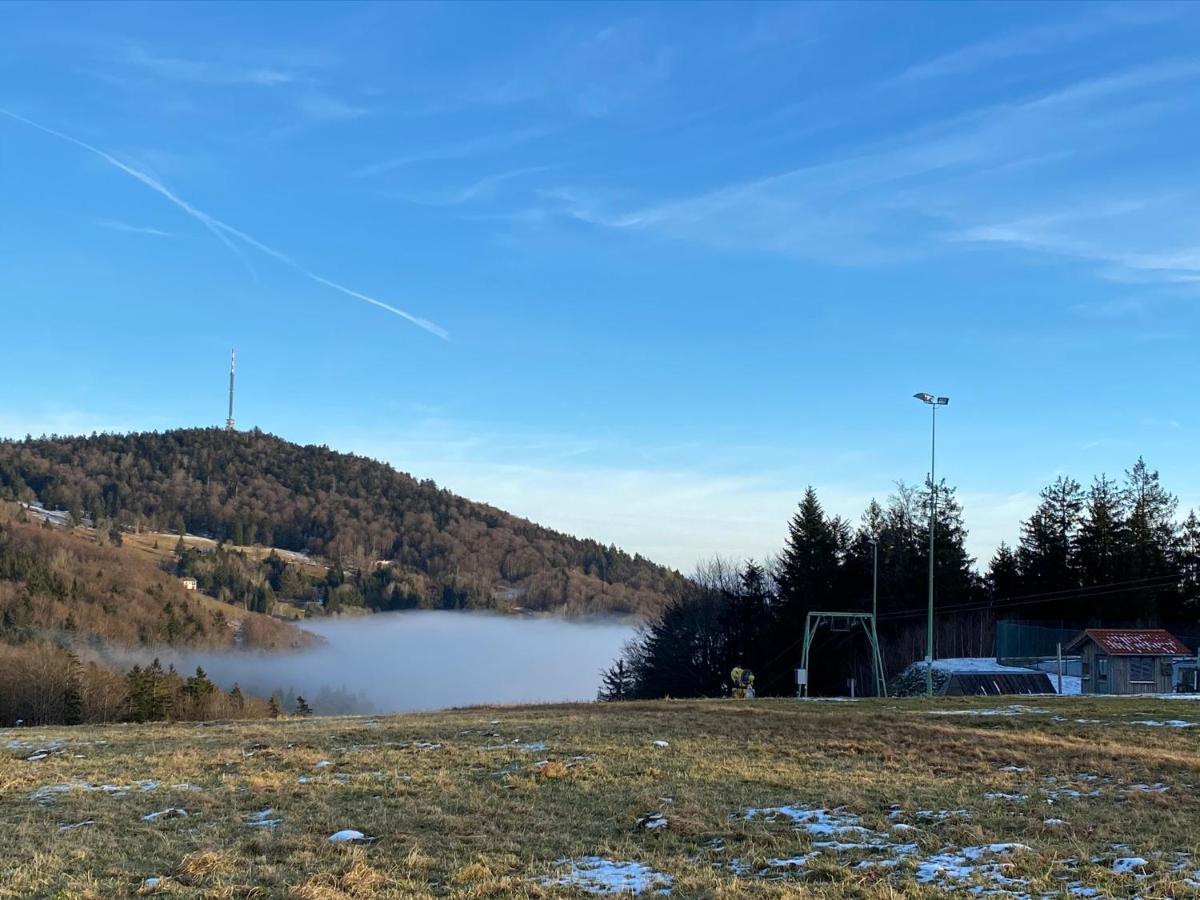 Mitten Im Bayerischen Wald-95M² Wohnung + *Netflix* Direkt Am Skilift! Schöfweg Екстериор снимка