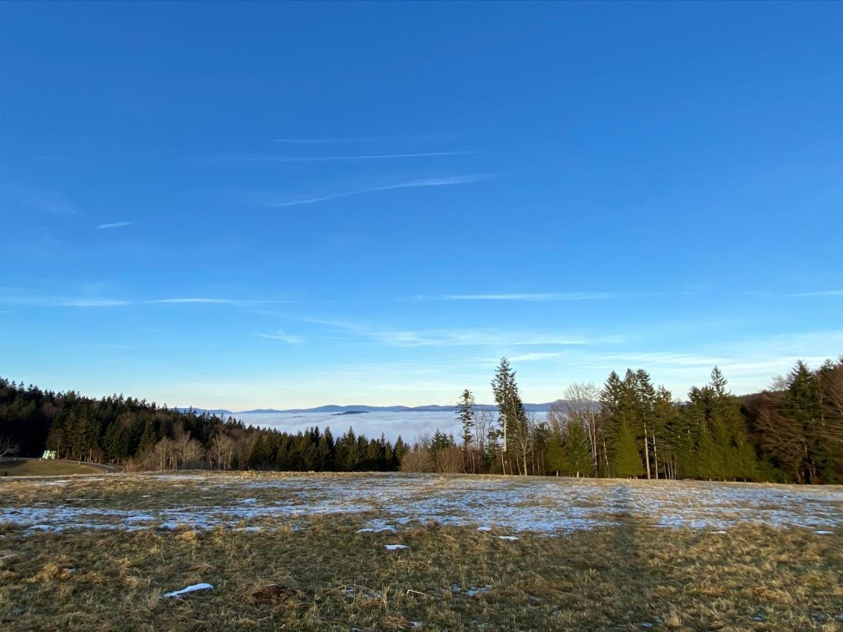 Mitten Im Bayerischen Wald-95M² Wohnung + *Netflix* Direkt Am Skilift! Schöfweg Екстериор снимка